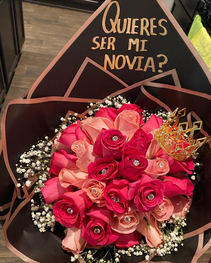 Quieres ser mi novia